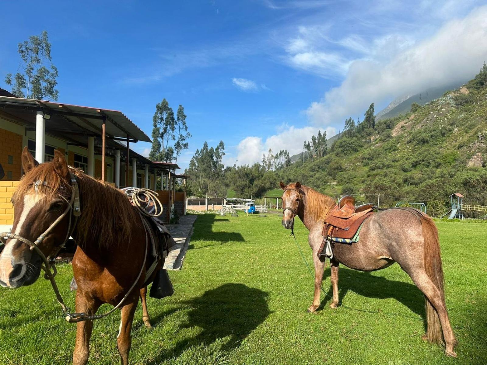 Tambo Lodge カンタ エクステリア 写真